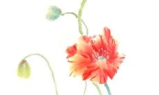 2022年8月15日动土好不好 是建房动土吉利日子吗