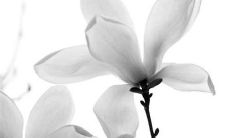 2022年8月24日动土日子好吗 今日日子好不好