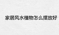 家居风水植物怎么摆放好 旺财旺宅的植物推荐