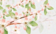 2022年生肖属狗3月份开工动土的黄道吉日 动土吉利日子