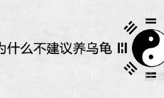 老人为什么不建议养乌龟