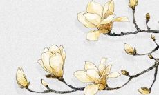 2022虎年在公历3月属鸡最吉利的开工动土吉日 建房最吉利日子