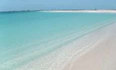 安翠丽姓名评分87分