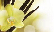 卞经雯姓名评分89分