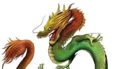 属龙人适合在2023年生兔宝宝吗