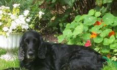 常潇予姓名评分102分