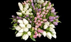 颜扬杰姓名评分93分