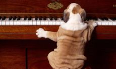 周矫娇姓名评分88分