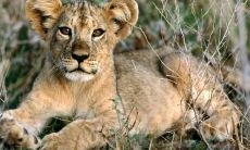 苏敏芬姓名评分91分