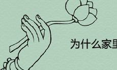 为什么家里不能放水晶