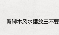 鸭脚木风水摆放三不要