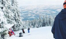 此生唯独只爱你的网名 甜甜的情侣昵称