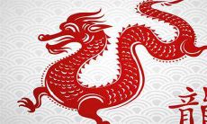 属龙的人2022年9月学业运势如何 如何提高学习运势