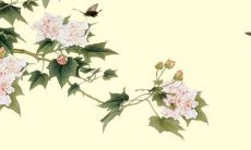 2021年什么八字运气好 日干为甲木的八字智勇双全