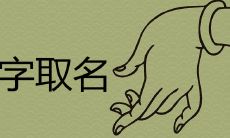 莉在名字里的寓意好吗 起名字莉和丽哪个好