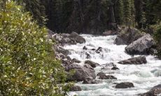 五行属水寓意吉祥的字 好运有福名字