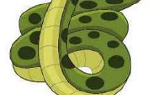 属蛇男生喜欢一个人的表现