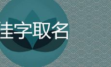 带佳字的女孩高雅名字锦集