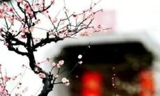 2021年9月份出生的宝宝是男还是女 生男生女清宫表