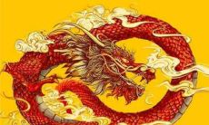 属龙的人未来五年运势及运程怎么样