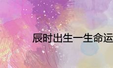 辰时出生一生命运婚姻好不好