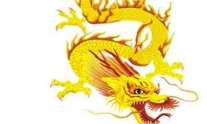 属龙人的缺点是什么