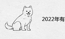 2022年有姻缘的人是什么生肖