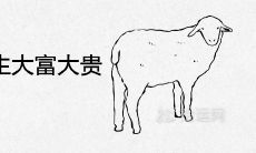 属羊人几日出生大富大贵有出息