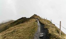 生肖属龙和生肖属猴配对