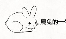 属兔的一生有几个情人 有几段婚姻