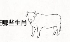 2021年牛宝宝旺哪些生肖父母