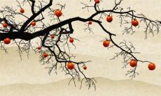 生肖蛇2022年10月事业运程走势 稍有波动注意谨言慎行