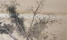 2022下半年怀孕生肖 属蛇做好心理准备