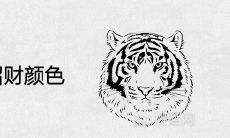 1986年属虎招财颜色及幸运色