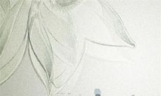 2022年10月里生肖猪事业运走势 工作顺利事业有成