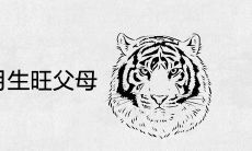 2022年虎宝宝几月出生旺父母