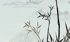 2022虎年10月生肖龙如何提升事业运 运势乐观能力提升