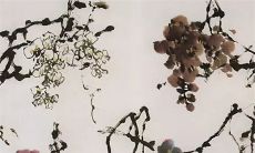 生肖虎2022下半年 改变行事风格低调内敛谨慎小心