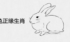 1987年属兔正缘是什么生肖