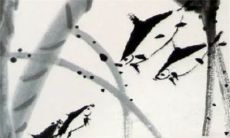 生肖兔2022下半年 一切以稳妥为主