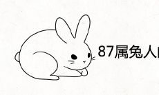 87属兔人的灾难年龄多大 一生大劫年在什么时候