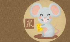 生肖鼠看2022年运气好么 属鼠2022运势测试