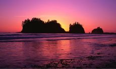 99年生肖兔女2022学业 考试运好不好