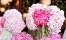 2022年1月9日嫁娶日子吉利吗 农历腊月初七日子分析