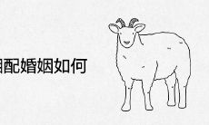 羊和鸡相配婚姻如何