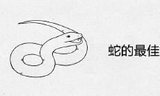 蛇的最佳婚配属相