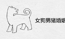 女狗男猪婚姻是否相配