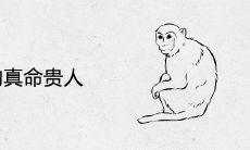 猴的真命贵人