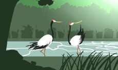 射手座最合适的身高体重比例