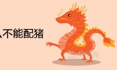 88年龙为什么不能配猪 适合做夫妻吗